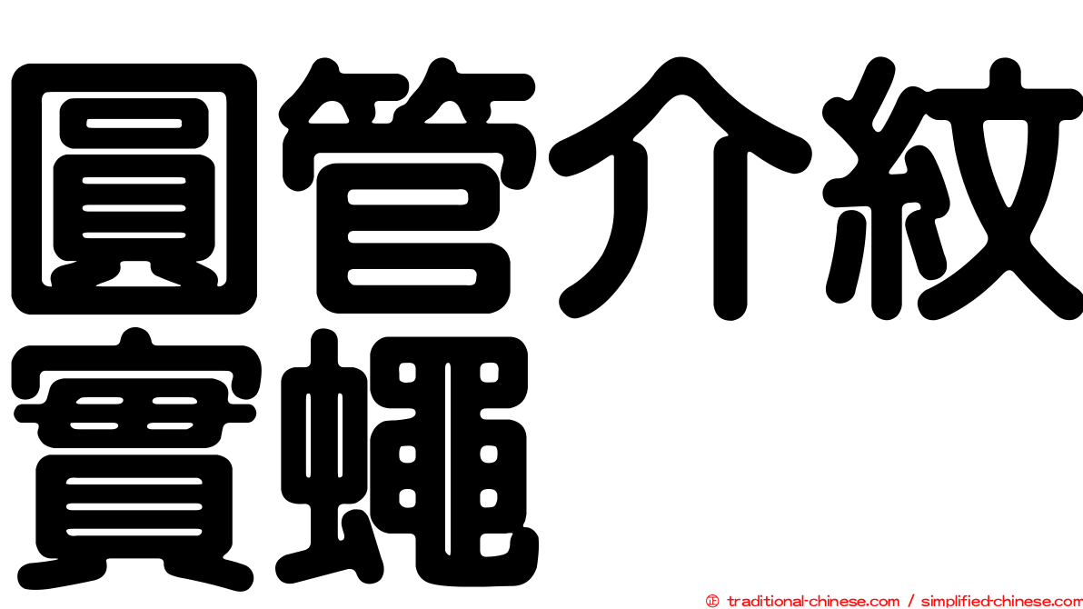 圓管介紋實蠅