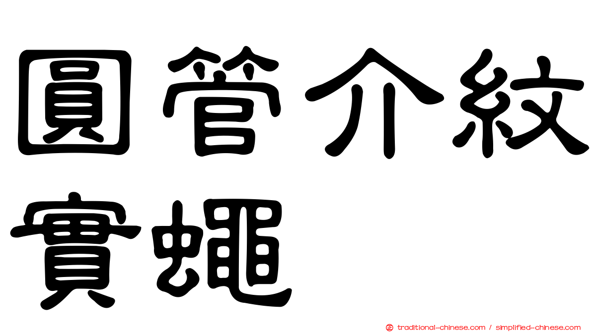 圓管介紋實蠅
