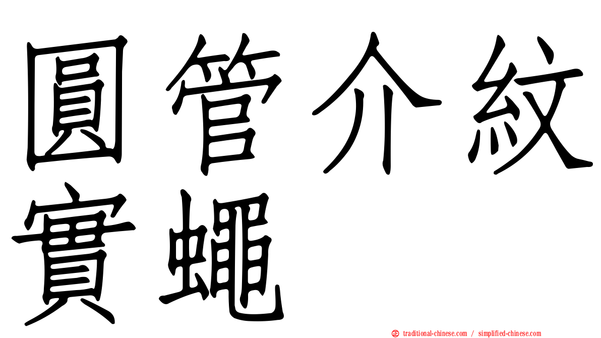 圓管介紋實蠅