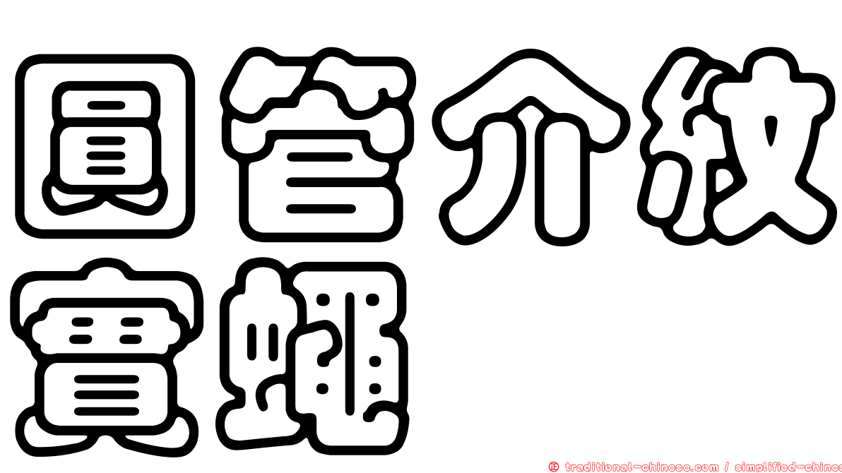 圓管介紋實蠅
