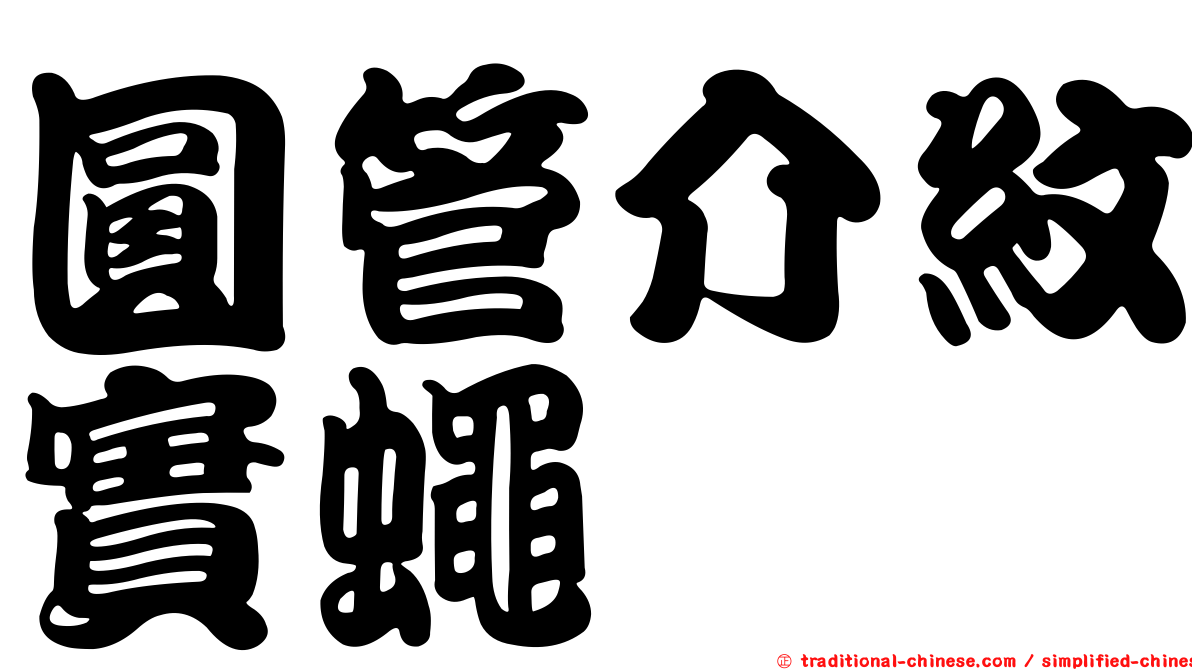 圓管介紋實蠅