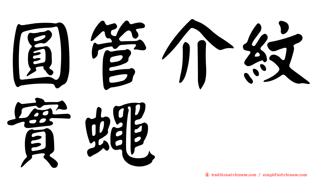 圓管介紋實蠅