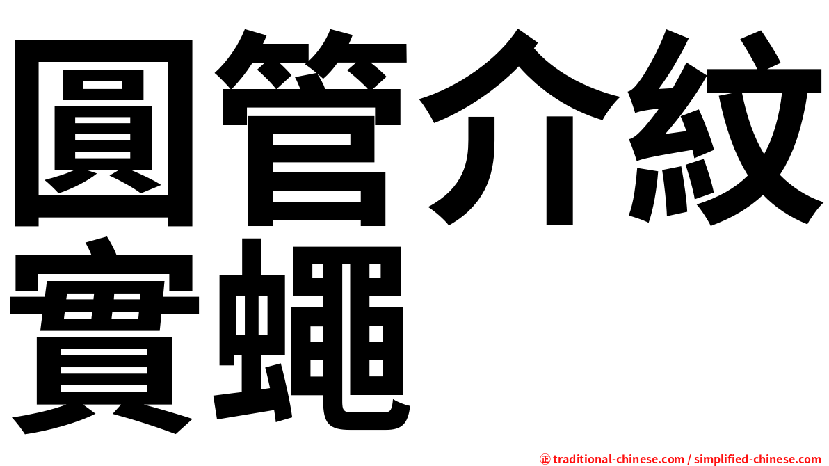 圓管介紋實蠅