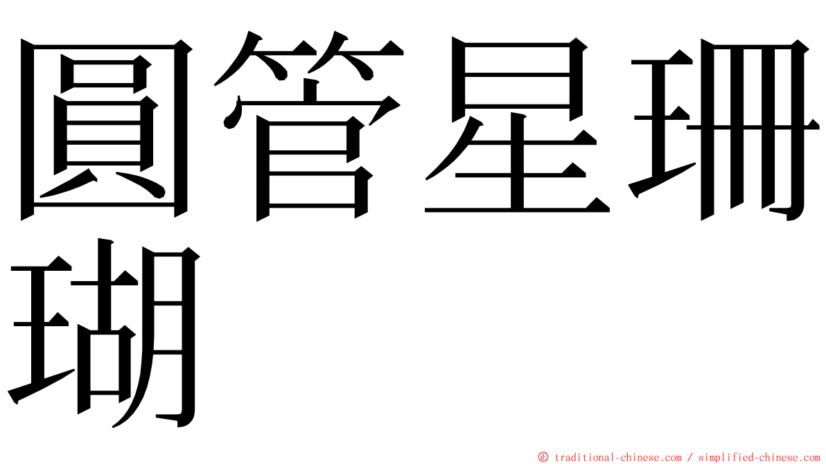 圓管星珊瑚 ming font