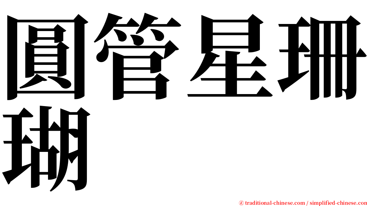 圓管星珊瑚 serif font