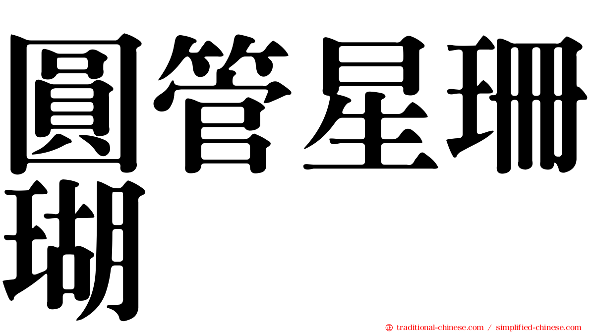 圓管星珊瑚