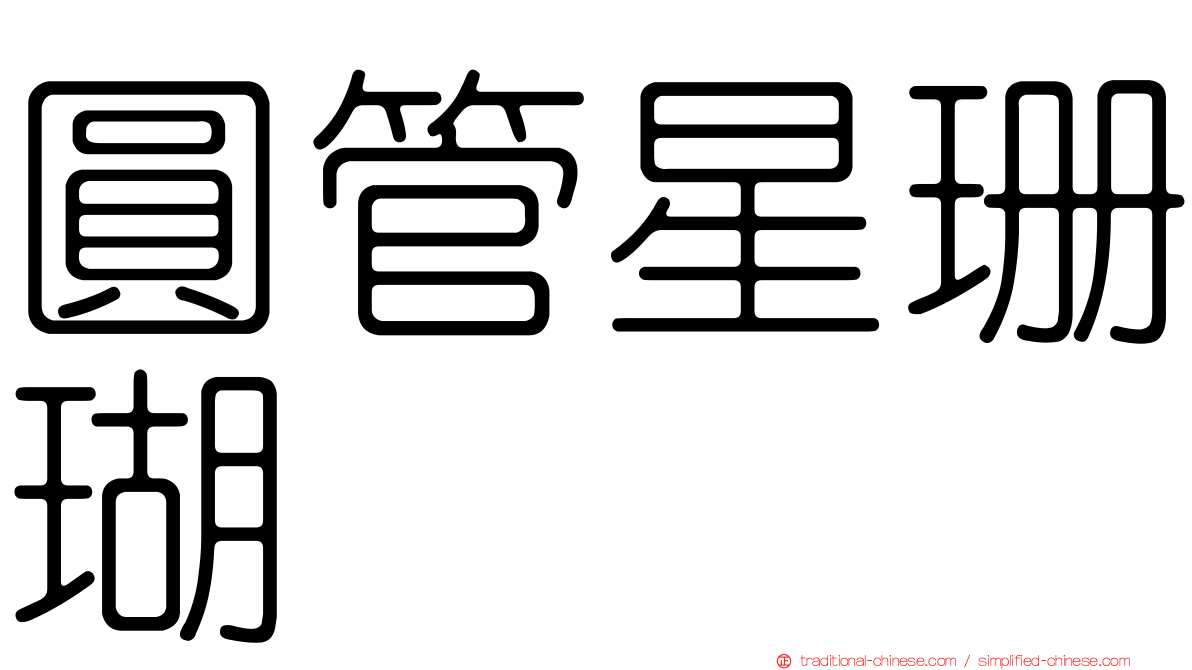 圓管星珊瑚