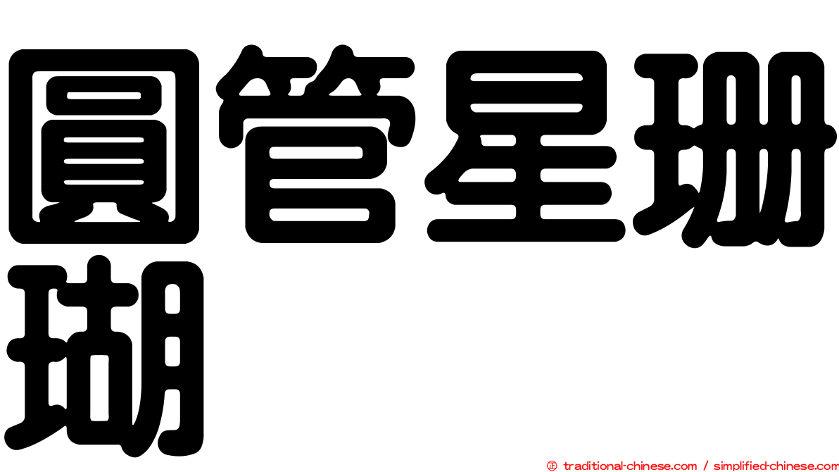 圓管星珊瑚