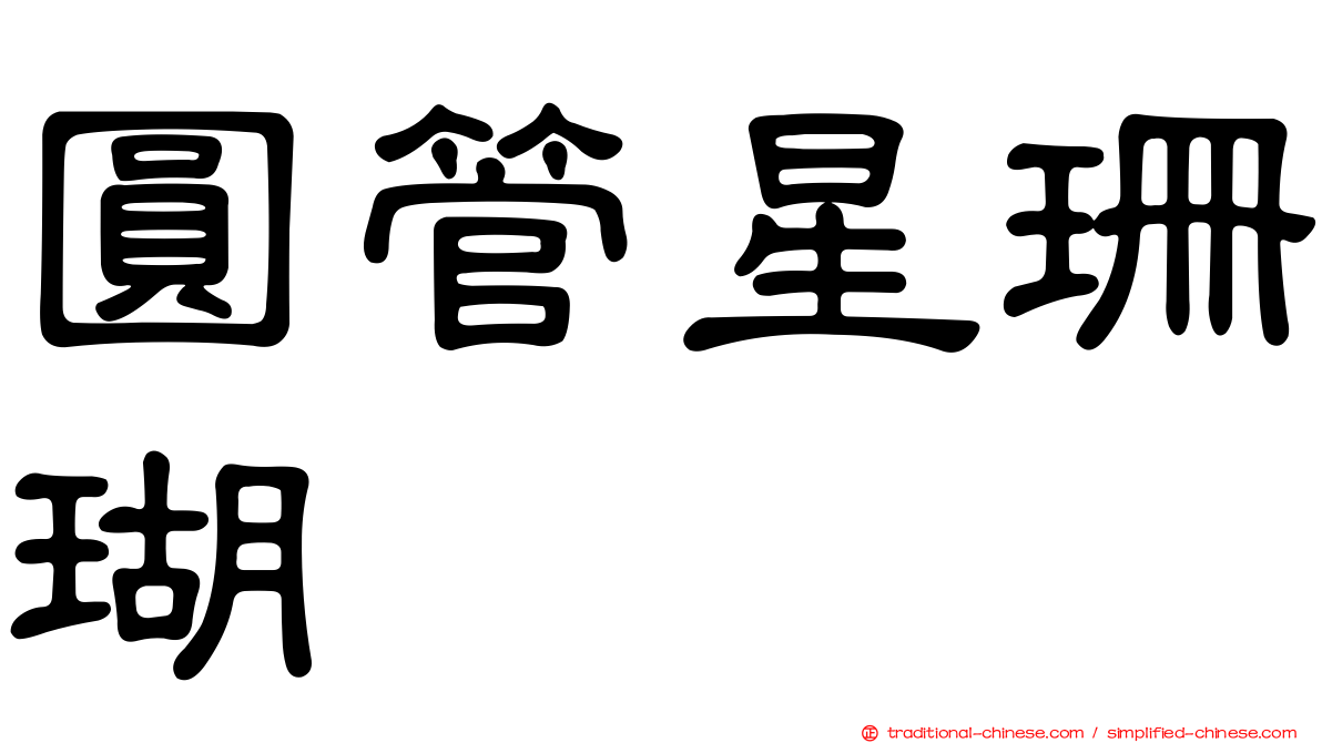 圓管星珊瑚