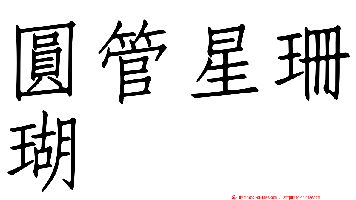 圓管星珊瑚