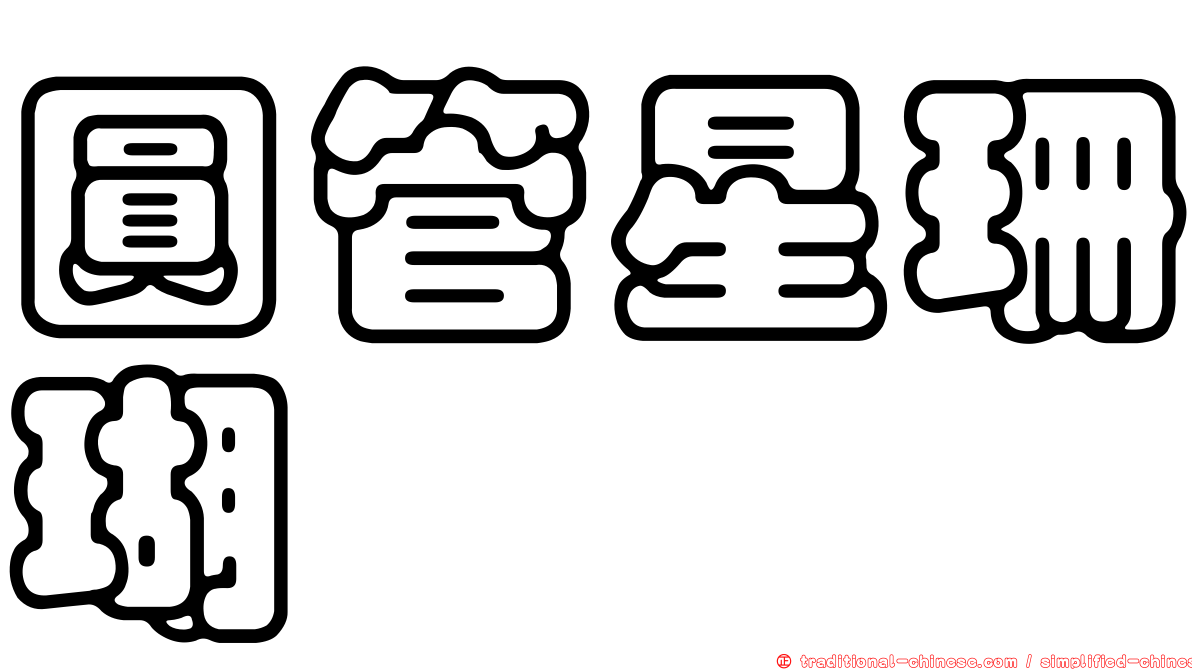圓管星珊瑚