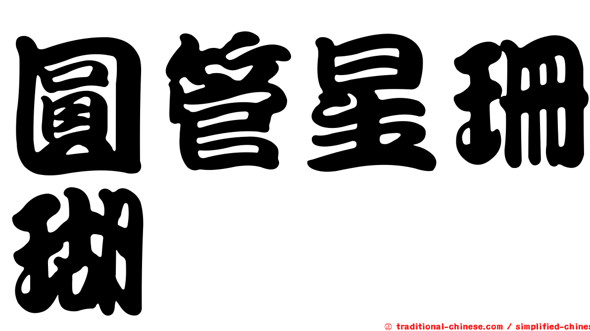 圓管星珊瑚