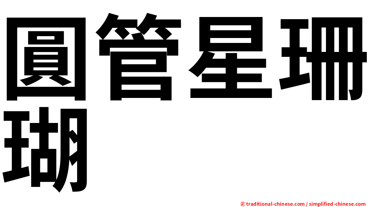 圓管星珊瑚