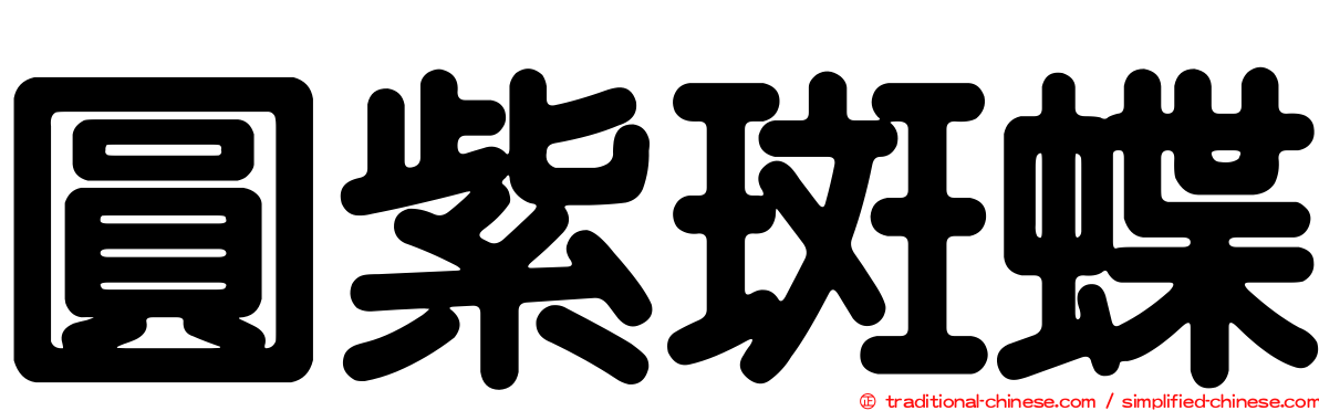 圓紫斑蝶