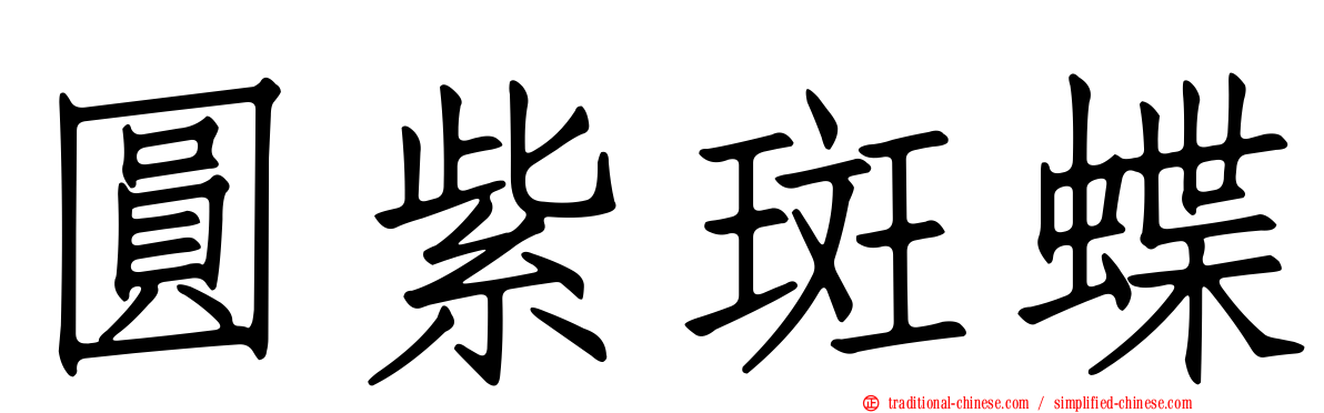 圓紫斑蝶