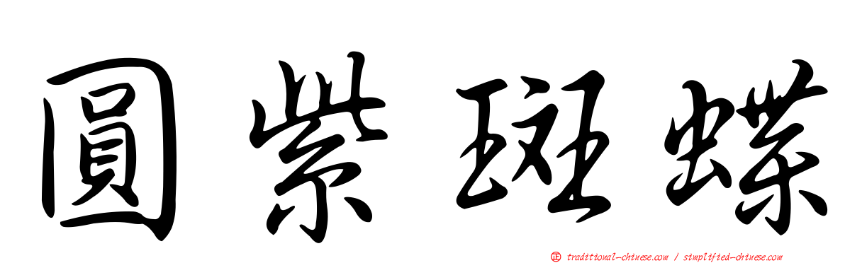 圓紫斑蝶