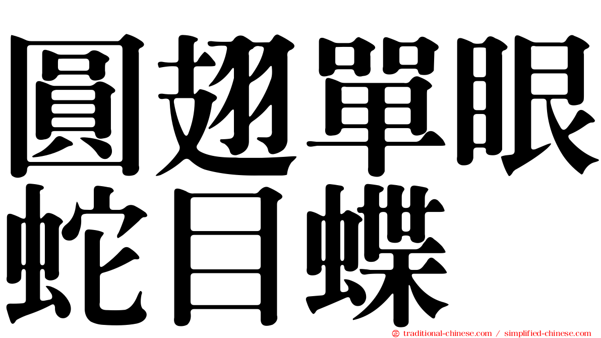圓翅單眼蛇目蝶
