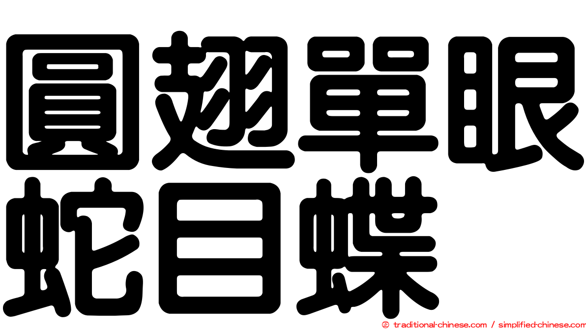 圓翅單眼蛇目蝶