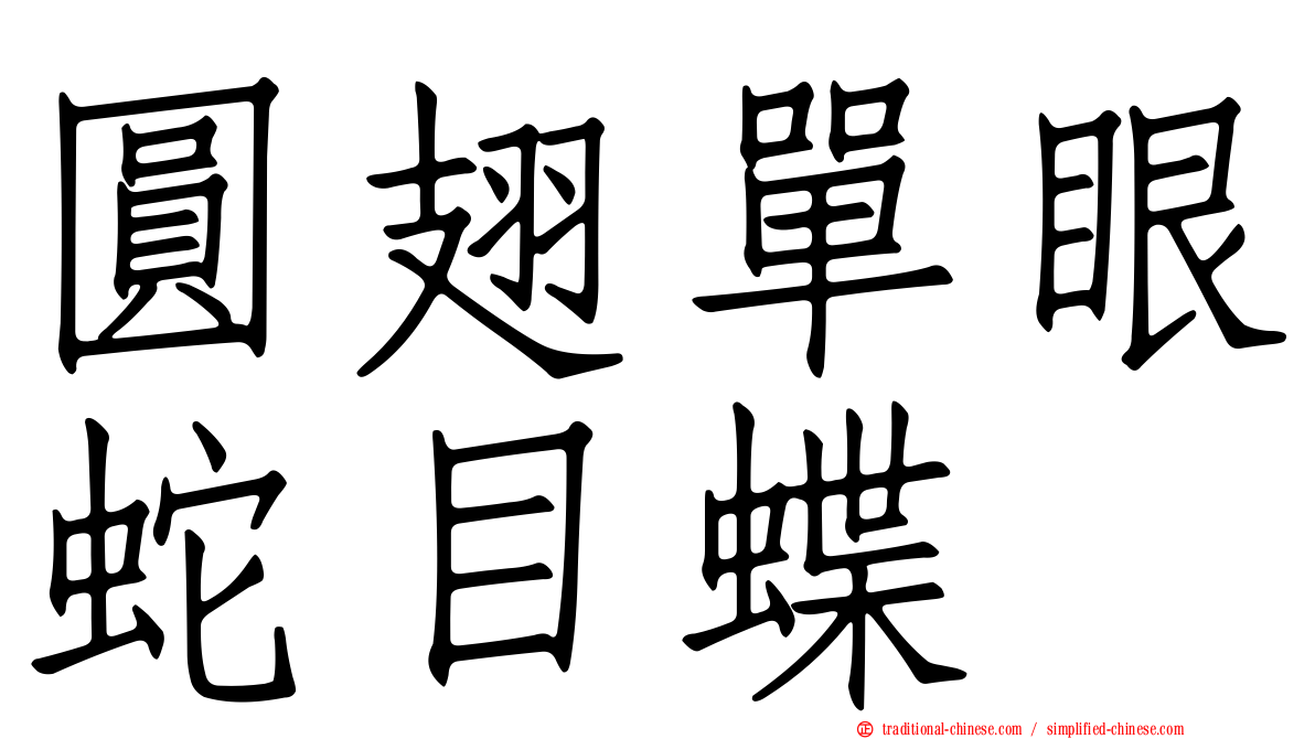 圓翅單眼蛇目蝶