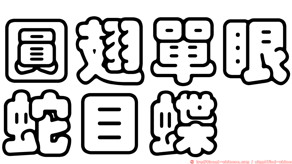 圓翅單眼蛇目蝶