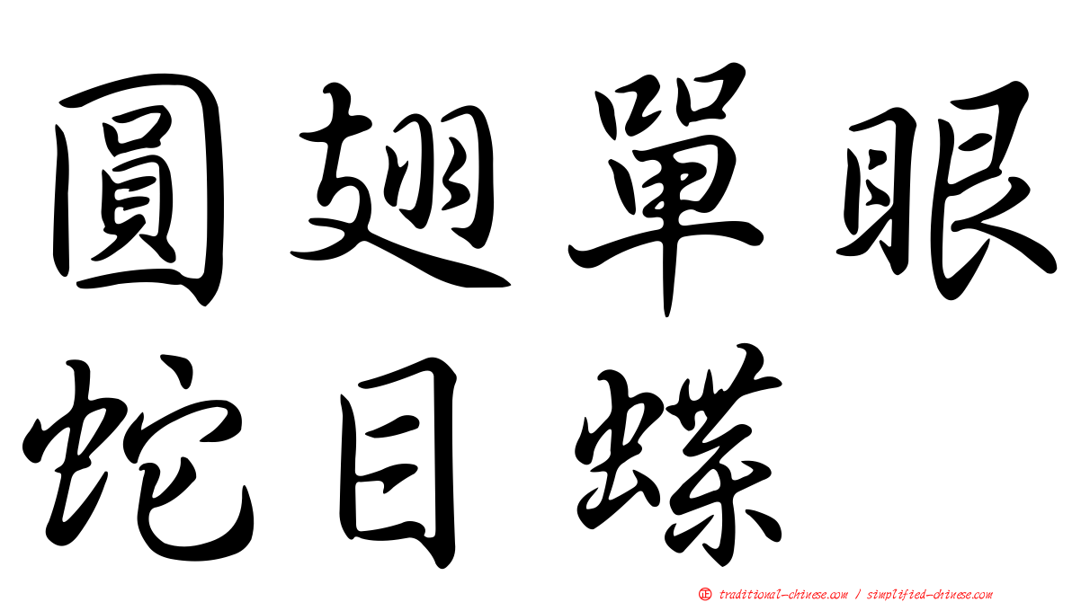 圓翅單眼蛇目蝶