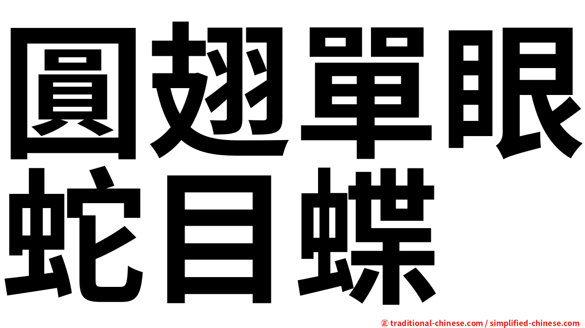 圓翅單眼蛇目蝶