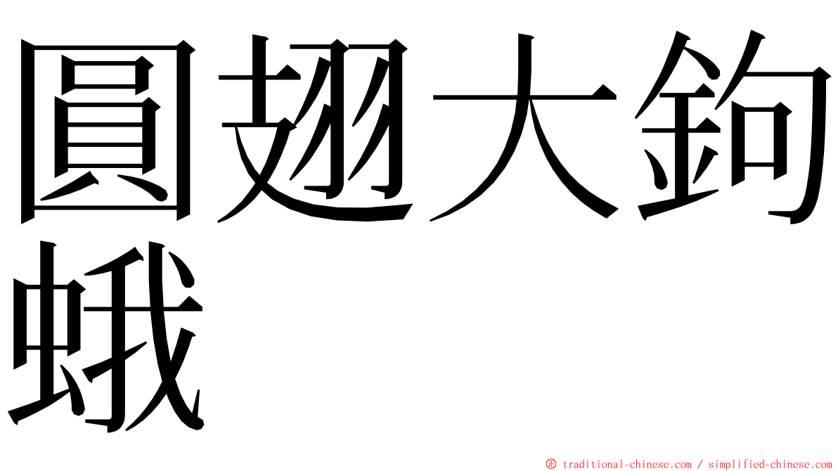 圓翅大鉤蛾 ming font