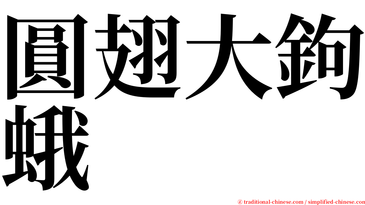 圓翅大鉤蛾 serif font