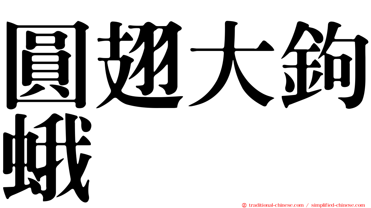 圓翅大鉤蛾