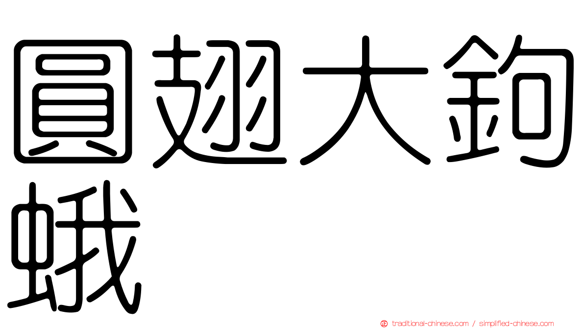 圓翅大鉤蛾