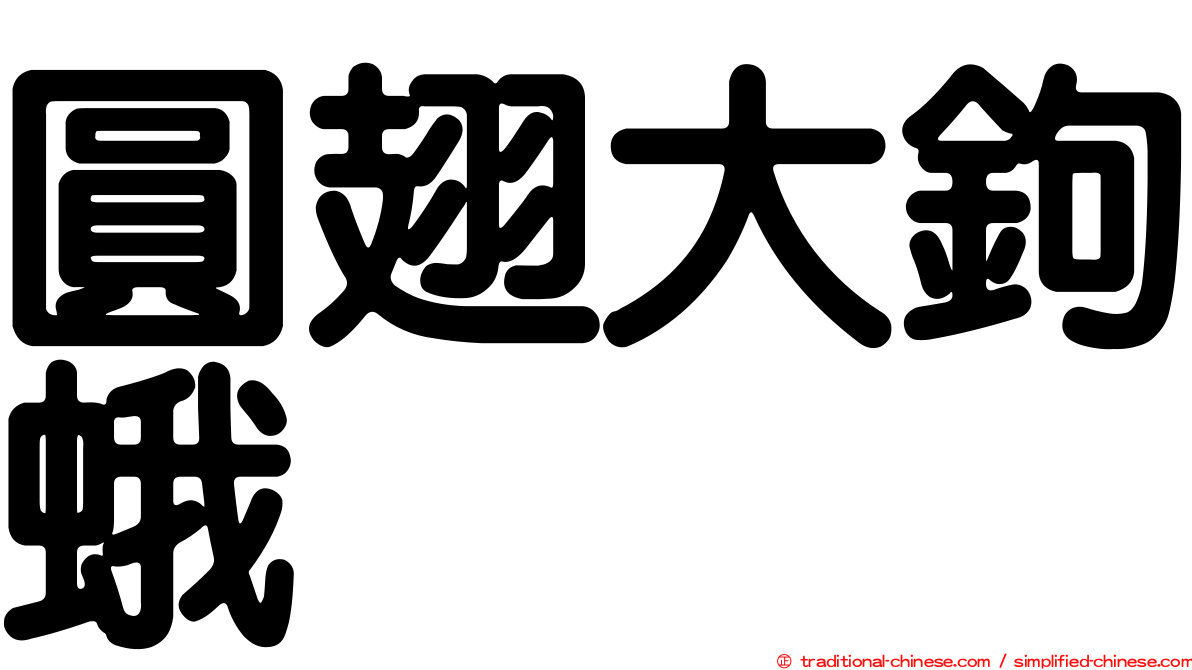 圓翅大鉤蛾