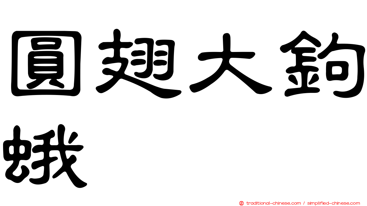 圓翅大鉤蛾
