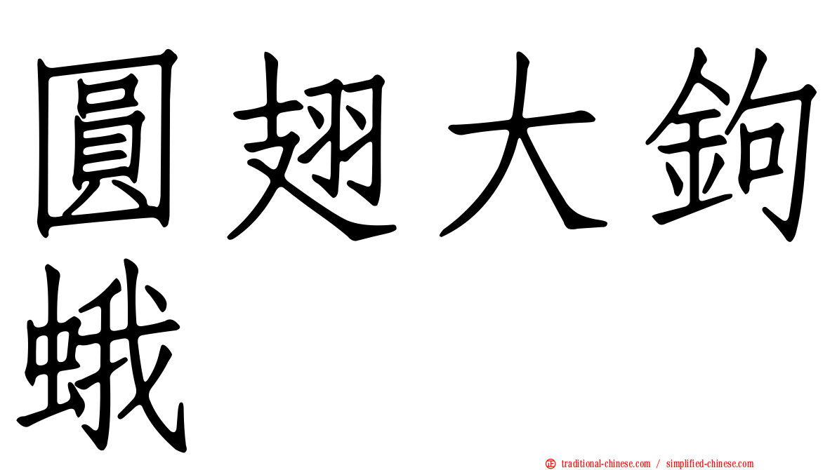 圓翅大鉤蛾