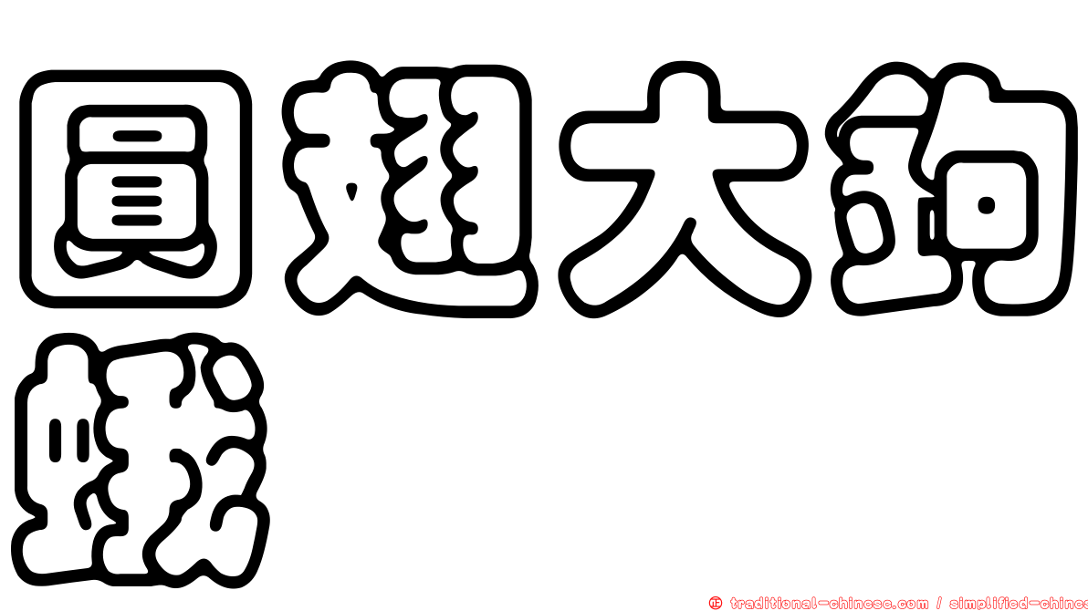 圓翅大鉤蛾