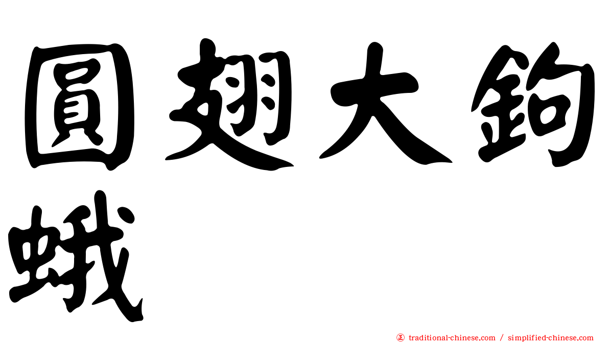 圓翅大鉤蛾