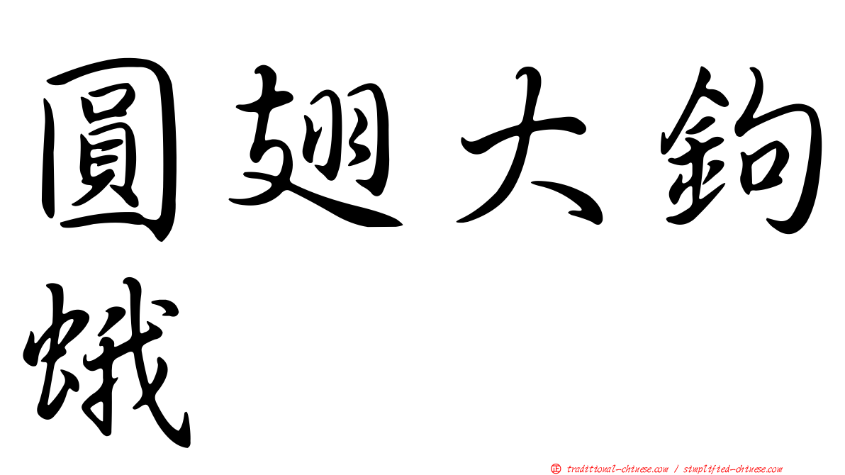 圓翅大鉤蛾