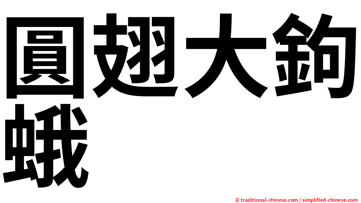 圓翅大鉤蛾