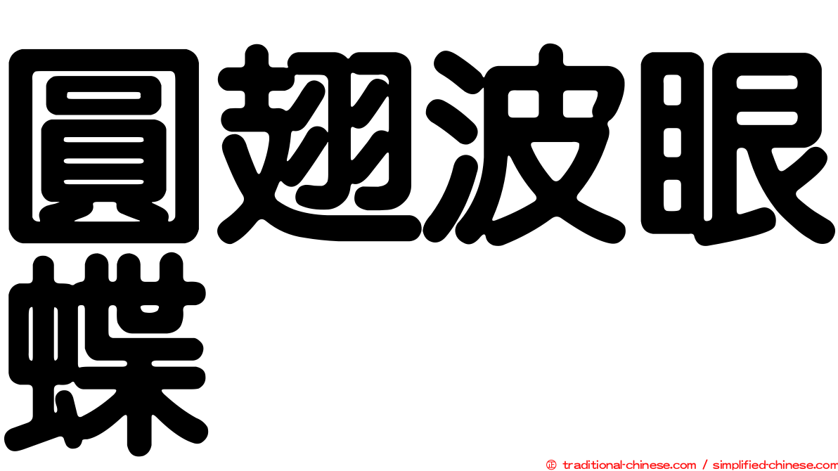 圓翅波眼蝶