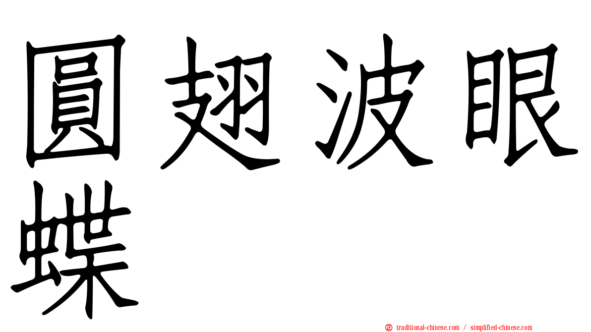 圓翅波眼蝶
