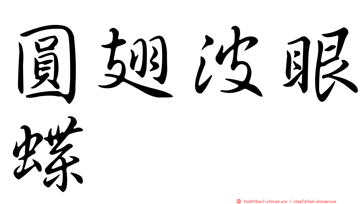 圓翅波眼蝶