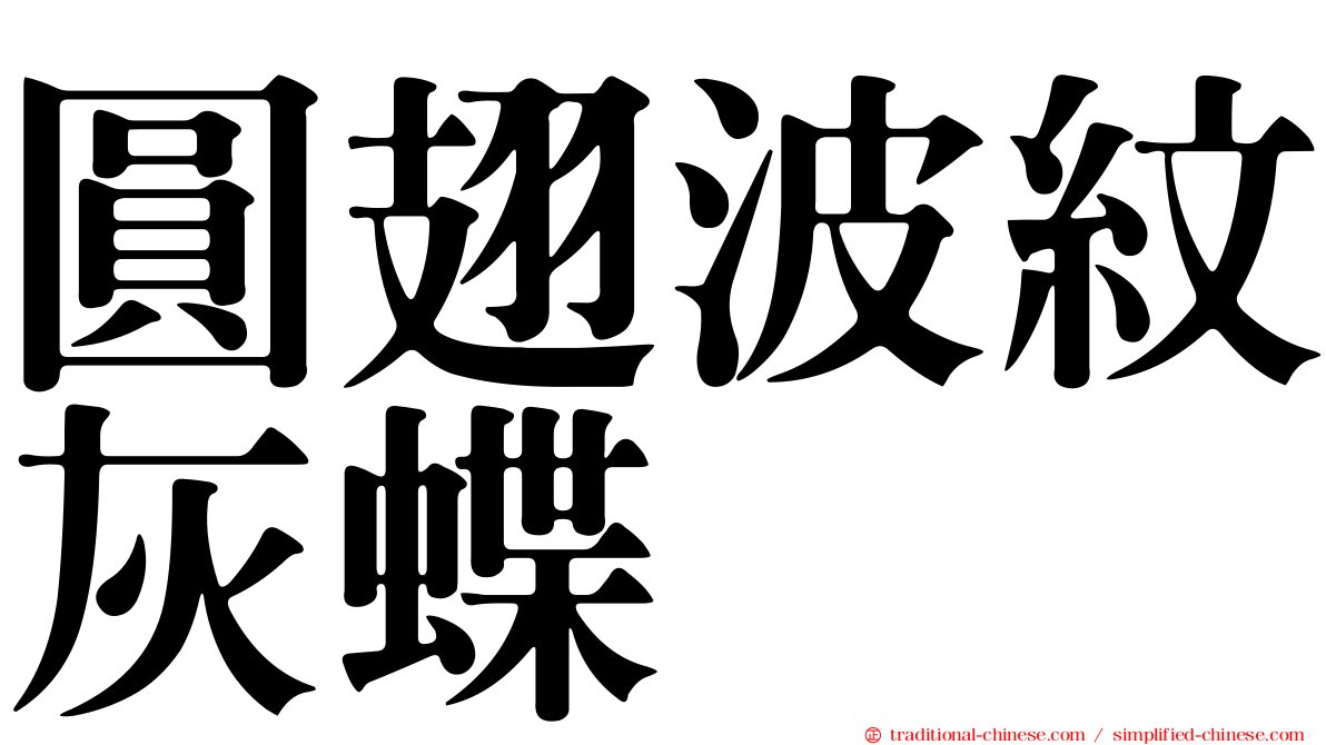 圓翅波紋灰蝶