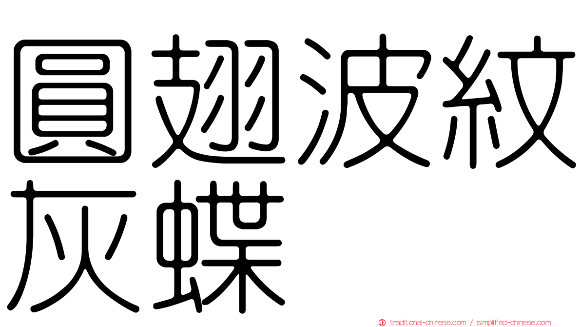 圓翅波紋灰蝶