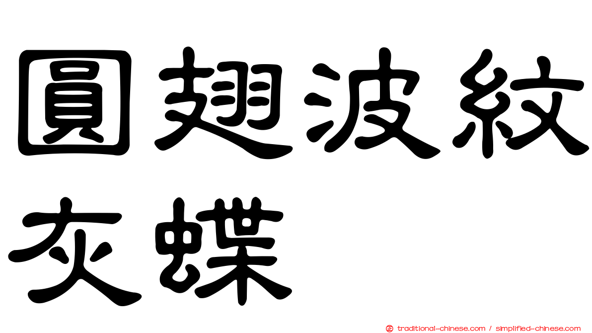 圓翅波紋灰蝶