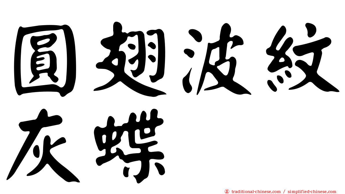 圓翅波紋灰蝶