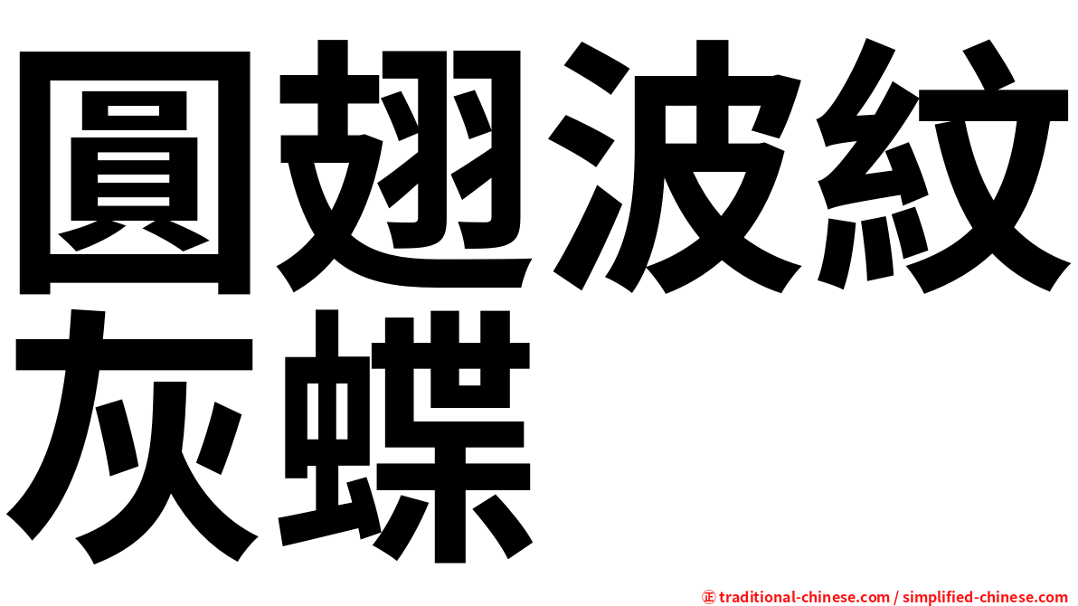 圓翅波紋灰蝶