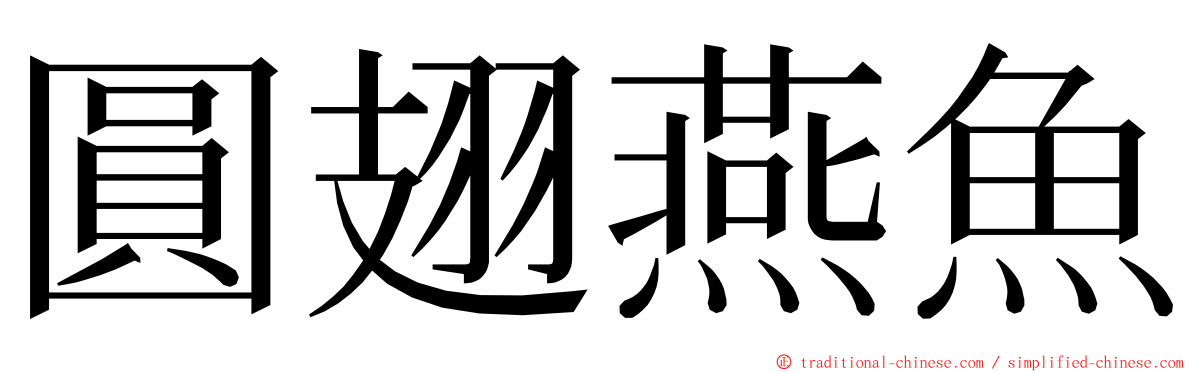 圓翅燕魚 ming font