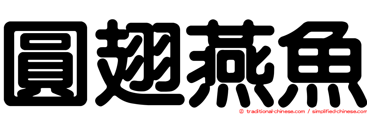 圓翅燕魚