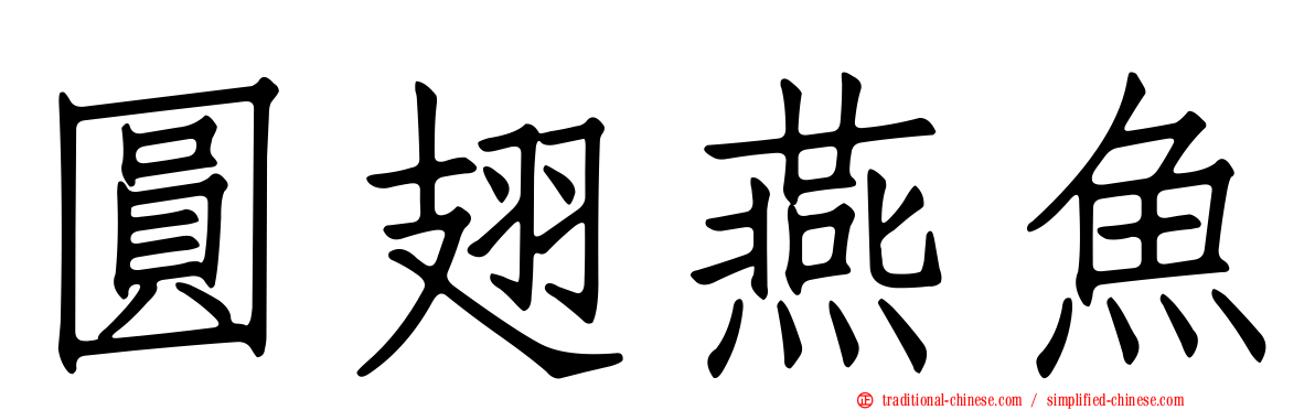 圓翅燕魚