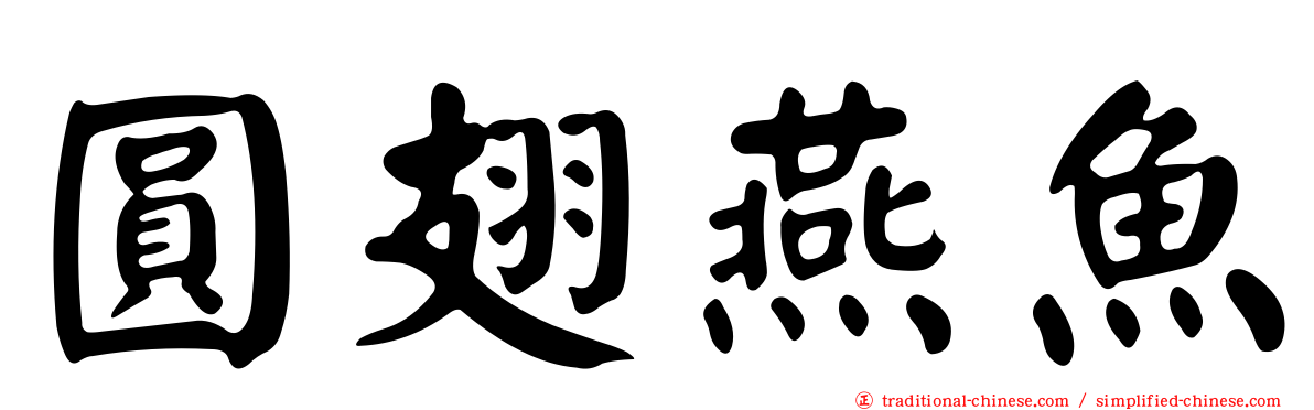 圓翅燕魚