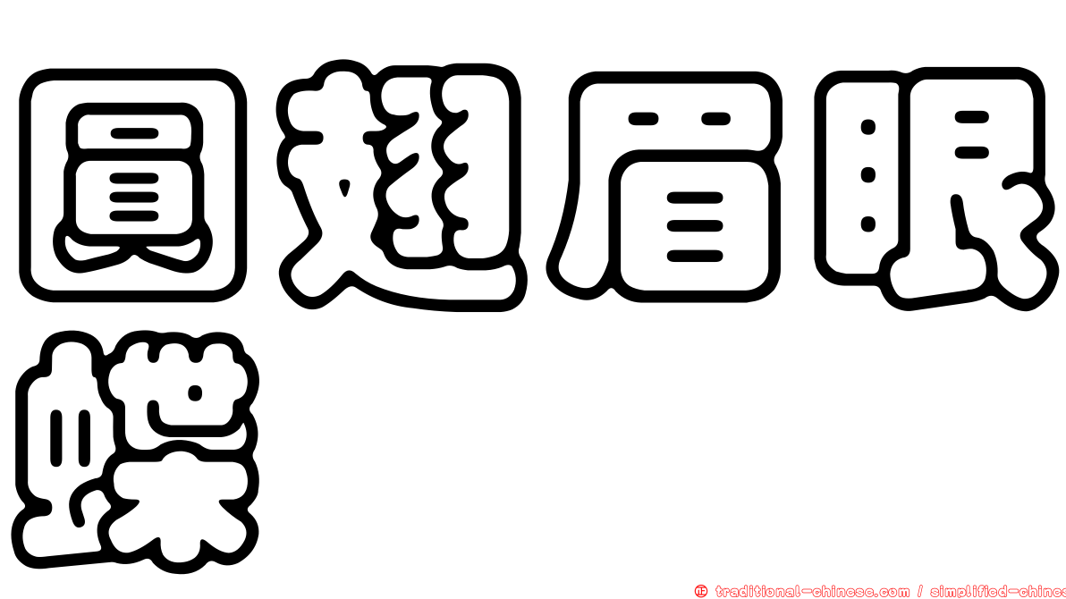 圓翅眉眼蝶